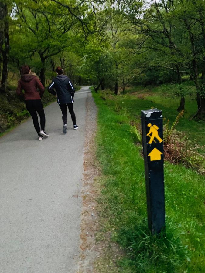 Wicklow Way Lodge Dış mekan fotoğraf
