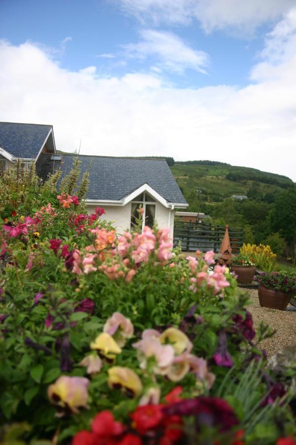 Wicklow Way Lodge Dış mekan fotoğraf