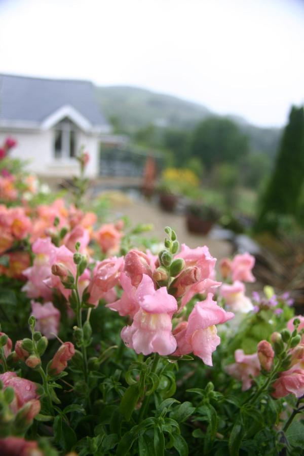 Wicklow Way Lodge Dış mekan fotoğraf