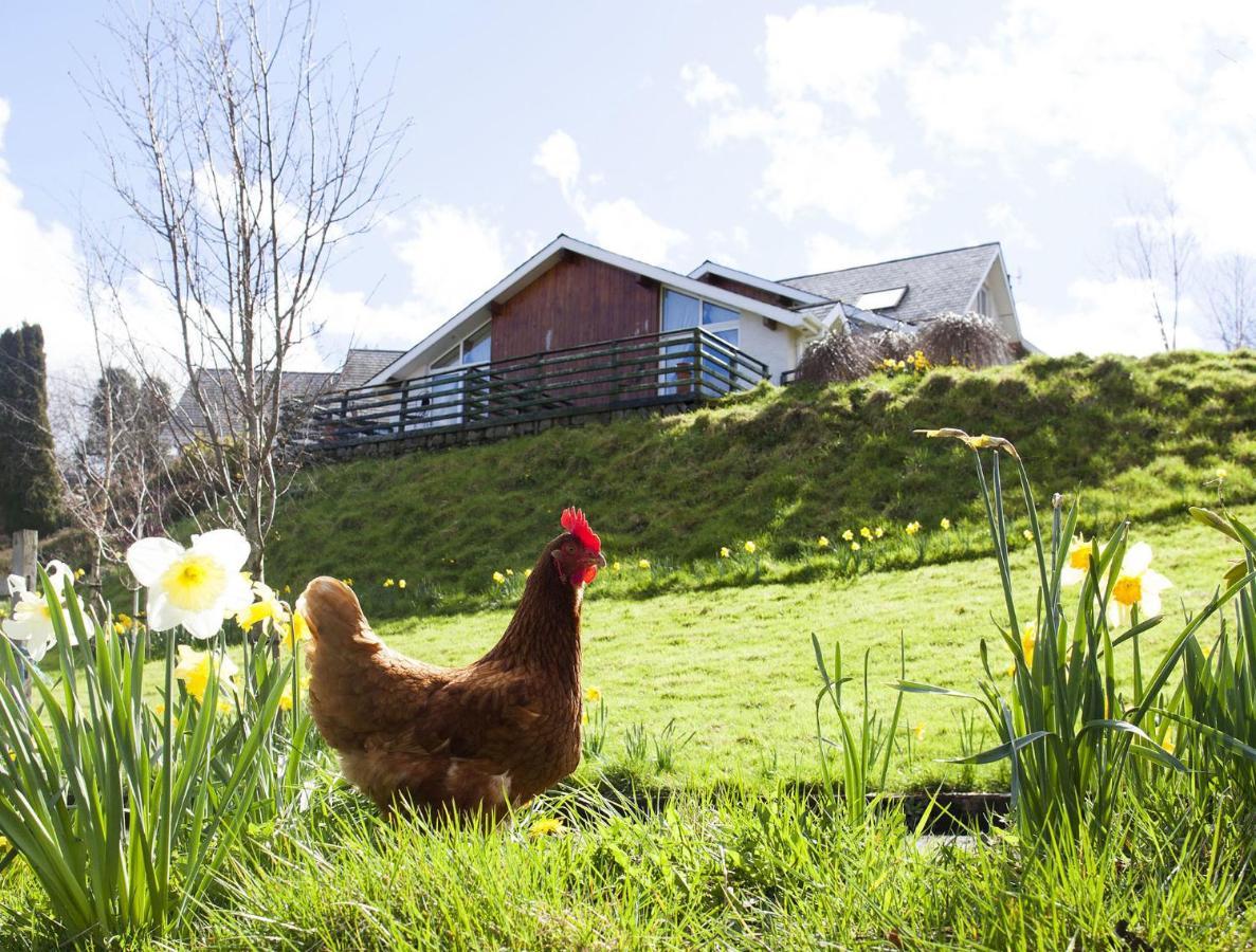 Wicklow Way Lodge Dış mekan fotoğraf